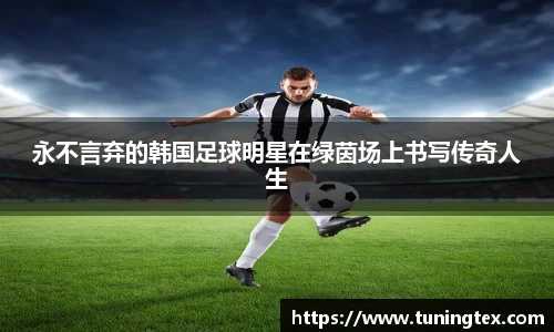 永不言弃的韩国足球明星在绿茵场上书写传奇人生